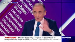 "Je pense que nous payons très cher les folies écologiques de ces 20 dernières années", Eric Zemmour - 11/12