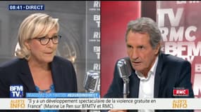 Manifestants antispécistes: pour Marine Le Pen, il s'agit d'une "ultra-minorité violente"