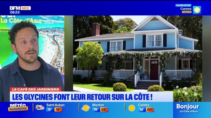 https://images.bfmtv.com/M0QPQgHWzcqMXMt0fZEhYyB4piE=/0x0:1280x720/860x0/images/Le-Cafe-des-Jardiniers-les-glycines-font-leur-retour-sur-la-cote-2269819.jpg