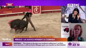 Corrida interdite à Pérols : "C'est une décision de justice inédite que l'on attend depuis 24 ans", se réjouit Claire Starozinski, présidente de l'Alliance Anticorrida 