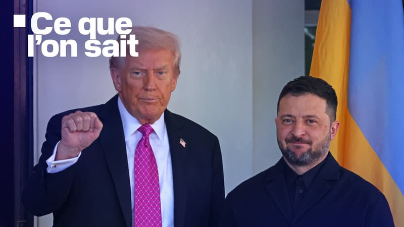 Cessions de territoires, Otan, armée limitée... Ce que l'on sait sur le plan de paix américain pour l'Ukraine