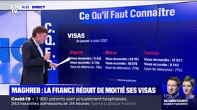 Combien de visas ont été accordés aux ressortissants des pays du Maghreb entre janvier et juillet 2021 ?