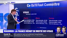 How many visas were granted to nationals of Maghreb countries between January and July 2021?