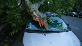 Le pare-brise d'une voiture brisé par un tronc d'arbre, dans le 16e arrondissement de Paris, le 26 juin 2025.