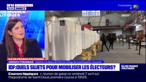 Paris: la ville favorable à l'organisation de nouveaux référendums