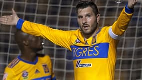 André-Pierre Gignac 