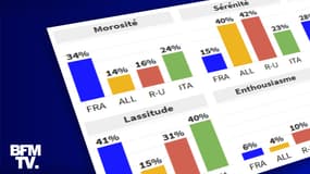 Infographie sur le barème Cevipof