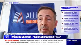 Collégienne agressée à Montpellier: "L'éducation et la prévention, s'il n'y a pas la sanction, c'est inutile", déclare David Leyraud (Sud Alliance police)