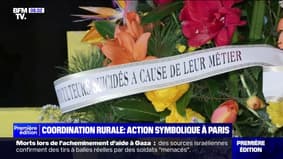 Colère des agriculteurs: à Paris, une action "forte et symbolique" de la coordination rurale 