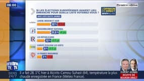 Européennes: une liste "gilets jaunes" ne recueillerait que 3% des voix selon un sondage 