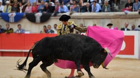 75 % des Français seraient favorables à l'interdiction de la corrida selon un sondage (photo d'illustration).