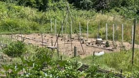 Un jardin potager à Cluny