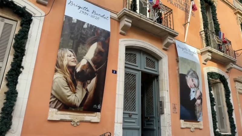 "10 heures de route": ces "badauds" prêts à traverser la France pour dire adieu à Brigitte Bardot