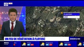 Var: un feu de végétation à Flayosc, 17 pompiers mobilisés