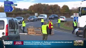 A Bordeaux, les "gilets jaunes" se structurent pour obtenir la dissolution de l'Assemblée