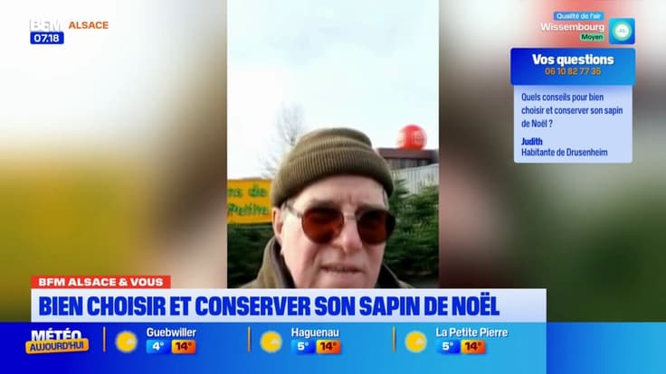BFM Alsace et vous: quelques conseils pour choisir et conserver son sapin de Noël