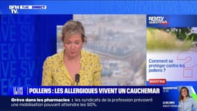 Comment se protéger contre le pollens ? BFMTV répond à vos questions