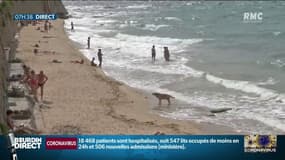 Week-end de l'Ascension: des dizaines de plages rouvrent dans le sud de la France