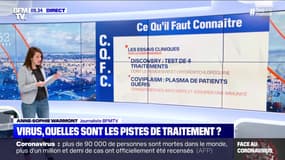 Virus, quelles sont les pistes de traitement ? - 10/04