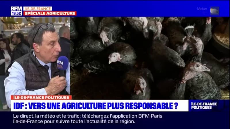 Île-de-France: les éleveurs peuvent-ils proposer du circuit court?