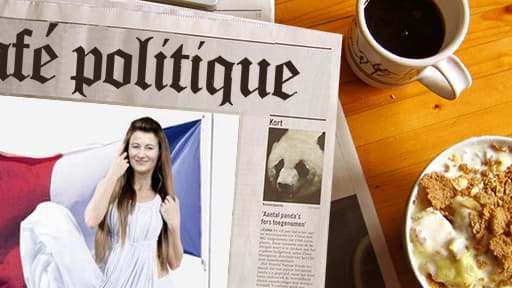 L'image de Ségolène Royal reprise par un site de rencontres extra-conjugales: la présidente de Poitou-Charentes trouve cela "inadmissible".