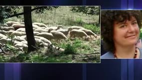 Biodiversité: "Nous sommes pour une complémentarité entre chasseurs et écologistes"