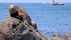Le Comité du patrimoine mondial de l'Unesco a retiré mercredi les Îles Galapagos de la liste des sites en danger, sur laquelle elles étaient placées depuis 2007. /Photo d'archives/REUTERS