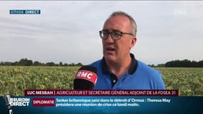 Sécheresse: Luc Mesbah de la FDSEA31 demande une "politique agricole européenne et nationale qui soit dans une phase d'anticipation"