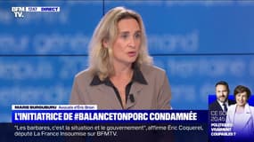 Condamnation de la créatrice de #Balancetonporc: l'avocate d'Éric Brion salue une "décision courageuse" qui "va changer tout Internet"