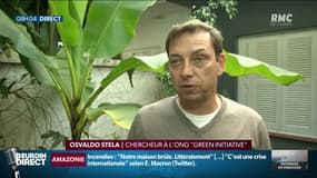 De violents feux ravagent l'Amazonie: "Il faut changer ce discours ignorant" pour Osvaldo Stela, chercheur à l'ONG "Green Initiative"