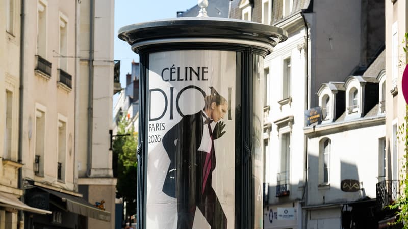 Concerts de Céline Dion: comment obtenir des places pour les dix nouvelles dates en mai 2027?