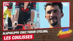 Cyclisme : les raisons du transfert d'Alaphilippe chez Tudor Cycling 