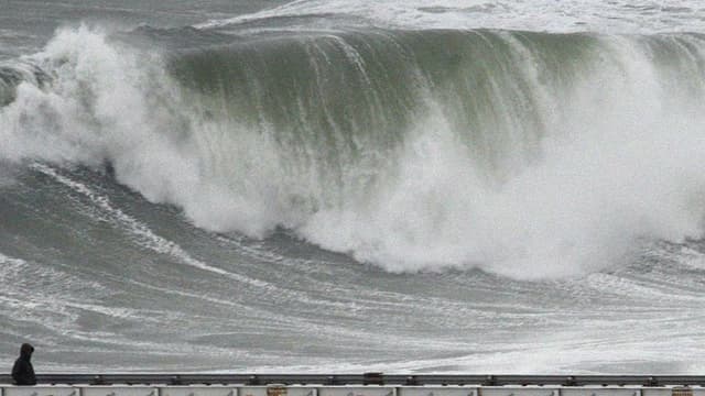 Les grandes marées ont fait trois victimes dans le Finistère (baie de Locquirec) : des retraitées qui étaient parties pêcher à pied les coquillages hier après-midi, jeudi. Elles ont péri malgré l'intervention d'une vedette et d'un hélicoptère.