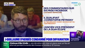 Jean-Guillaume d'Herbès, ex vice-président de la DLVA, condamné pour diffamation