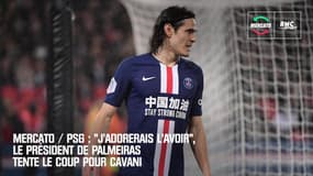 Mercato / PSG : "J'adorerais l'avoir", le président de Palmeiras tente le coup pour Cavani