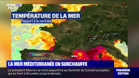La température de la Méditerranée 3 à 4°C au-dessus des normales 