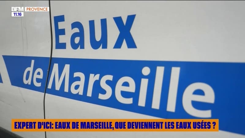Expert d'Ici : Eaux de Marseille, que deviennent les eaux usées ?