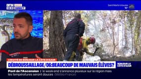 Alpes-Maritimes: un texte de loi pour réduire le nombre de feux de forêt