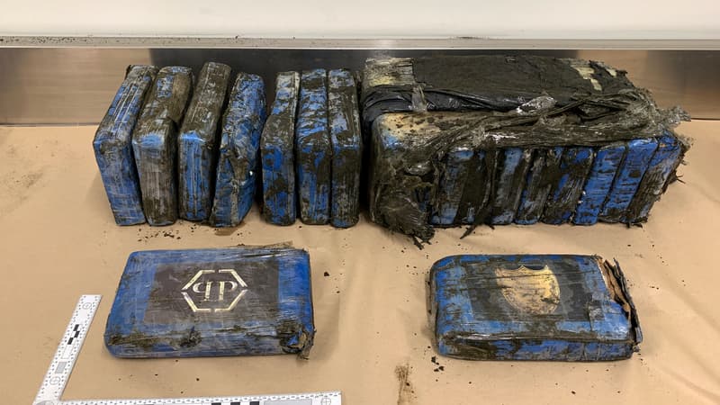 Les paquets de cocaïne retrouvés