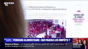 Les députés ont voté pour la défiscalisation des pensions alimentaires 