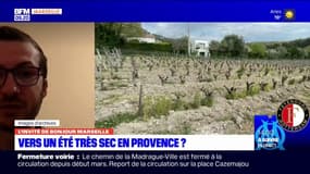 Bouches-du-Rhône: Paul Marquis, météorologue et expert météo pour les sapeurs-pompiers du 13 "s'attend à une saison compliquée" à cause de la sécheresse