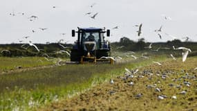 Un agriculteur dans un tracteur, dans l'ouest de la France, le 2 mai 2024 (image d'illustration)