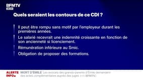 Le Medef propose un CDI spécial jeunes qui peut être rompu sans motif et payé moins que le Smic