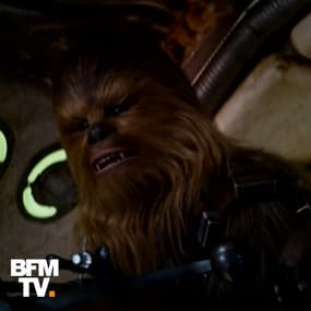 Peter Mayhew, qui incarnait Chewbacca dans Star Wars, est mort à 74 ans