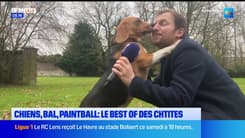 Les Ch'tites Sorties du samedi 1er mars 2025 - Chiens, bal, paintball : le best of des Ch'tites