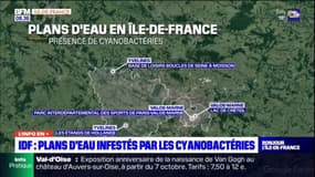 Ile-de-France: de nombreux plans d'eau infestés par les cyanobactéries