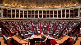 Des militants de la cause animale se sont introduits dans l'Assemblée ce jeudi en plein débats. 