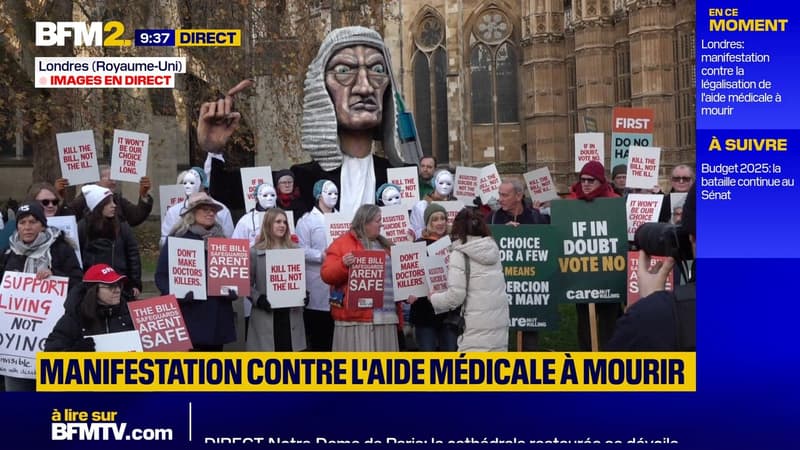 Londres: manifestation contre la légalisation de l'aide médicale à mourir