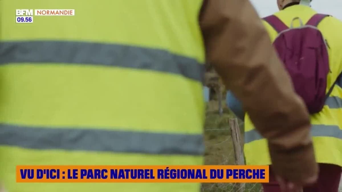placeholder video