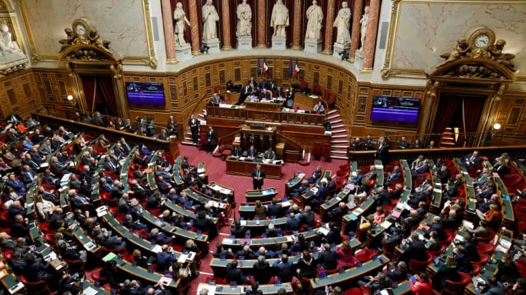 L'hémicycle du Sénat, à Paris, le 14 novembre 2023